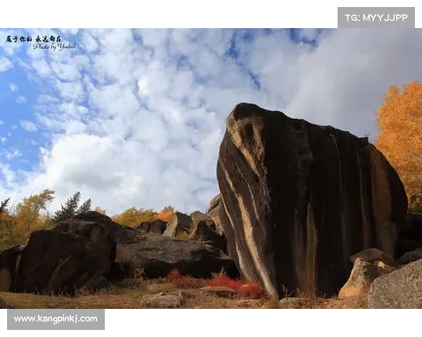 探索梦幻新诛仙的瑰丽风景与独特拍摄体验之旅 探索梦幻新诛仙的瑰丽风景与独特拍摄体验之旅